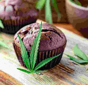 Shop Secondary Image Shop Secondary Image